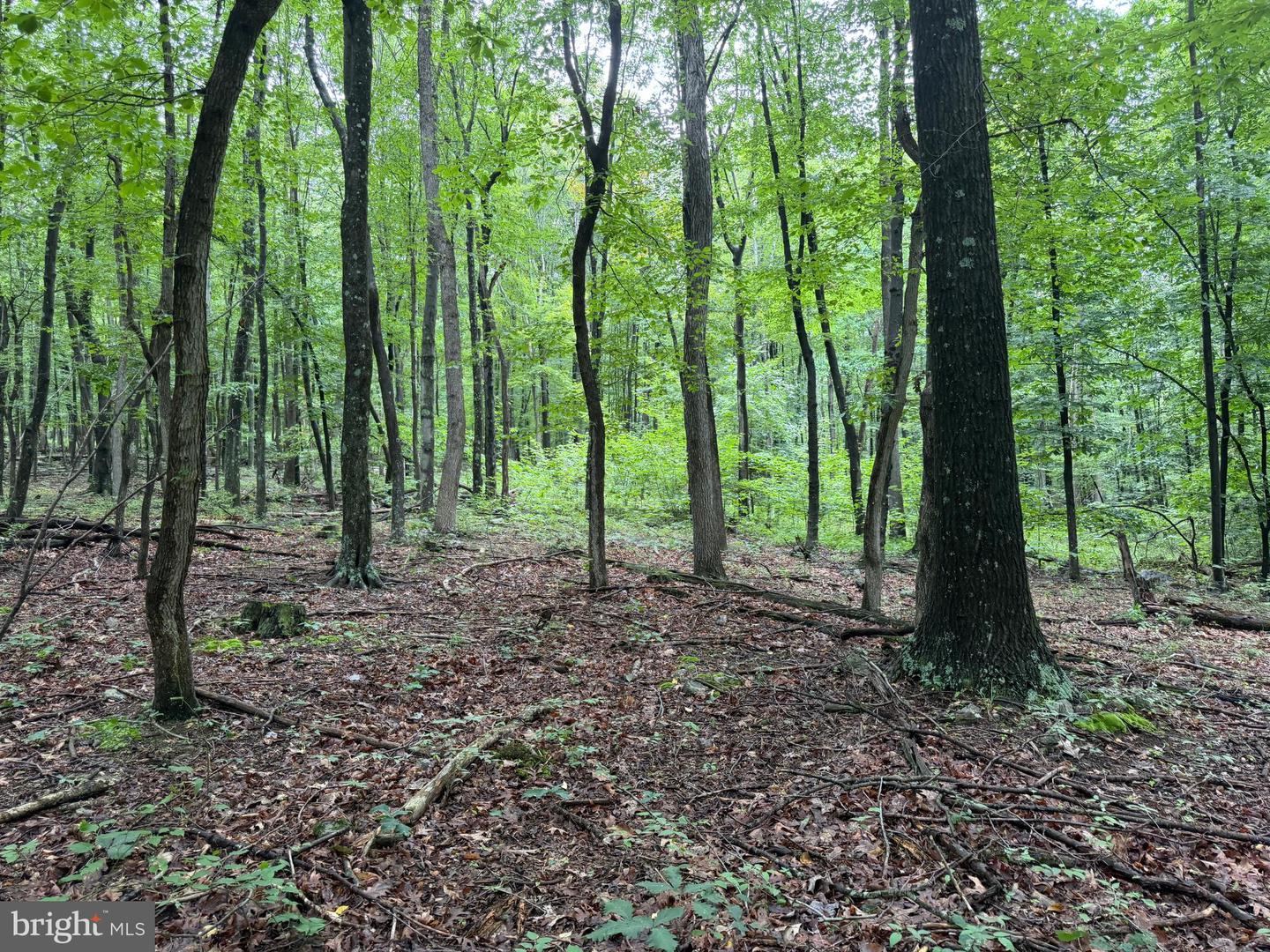 17147 Surgar Run Property Photo 148