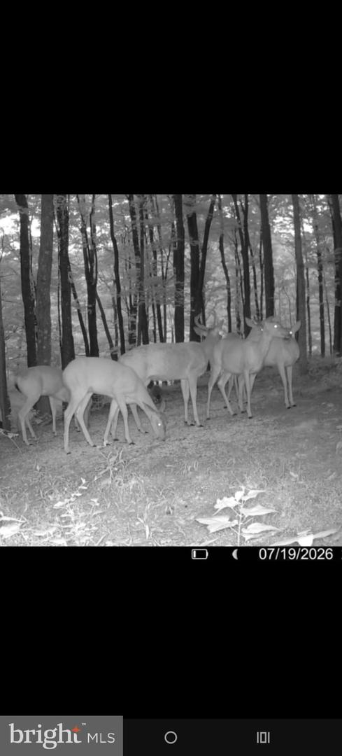 Old Plank Rd Property Photo 12