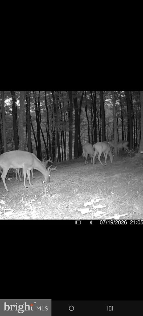 Old Plank Rd Property Photo 15