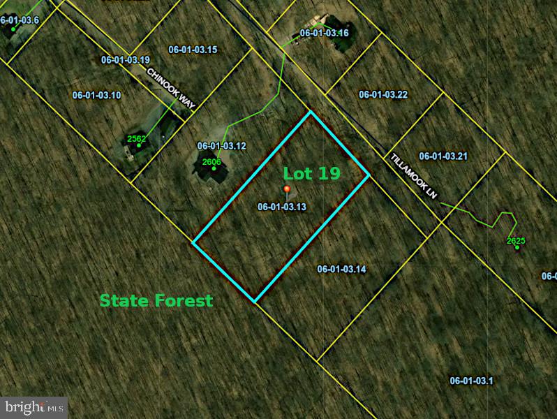 Lot 19 Tillamook Lane Property Photo 1