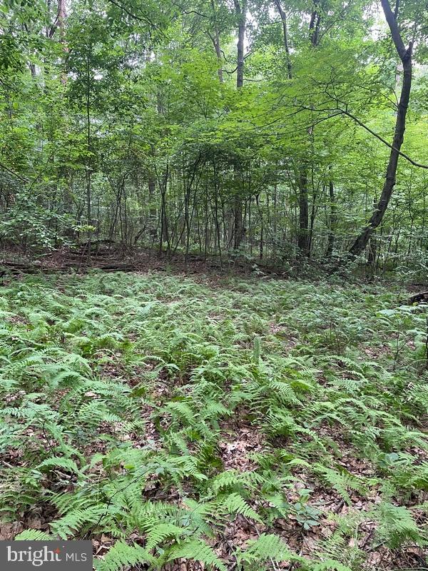 Lot 19 Tillamook Lane Property Photo 4