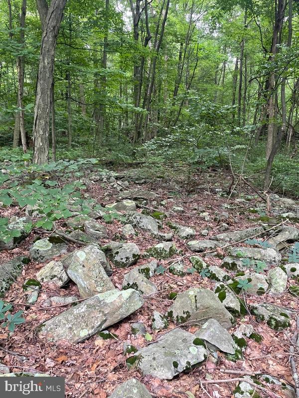 Lot 19 Tillamook Lane Property Photo 7