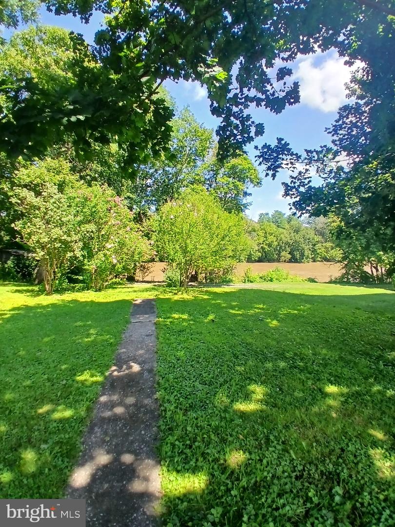 1107 Pike St Property Photo 35