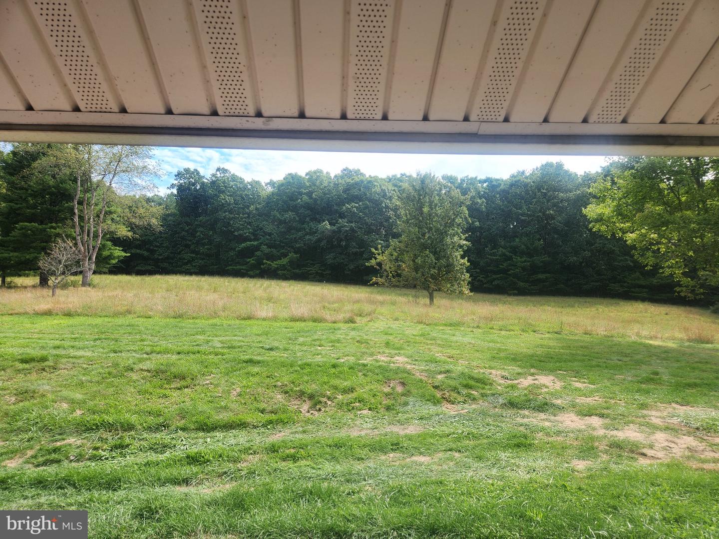 17059 Smith Valley Rd Property Photo 49