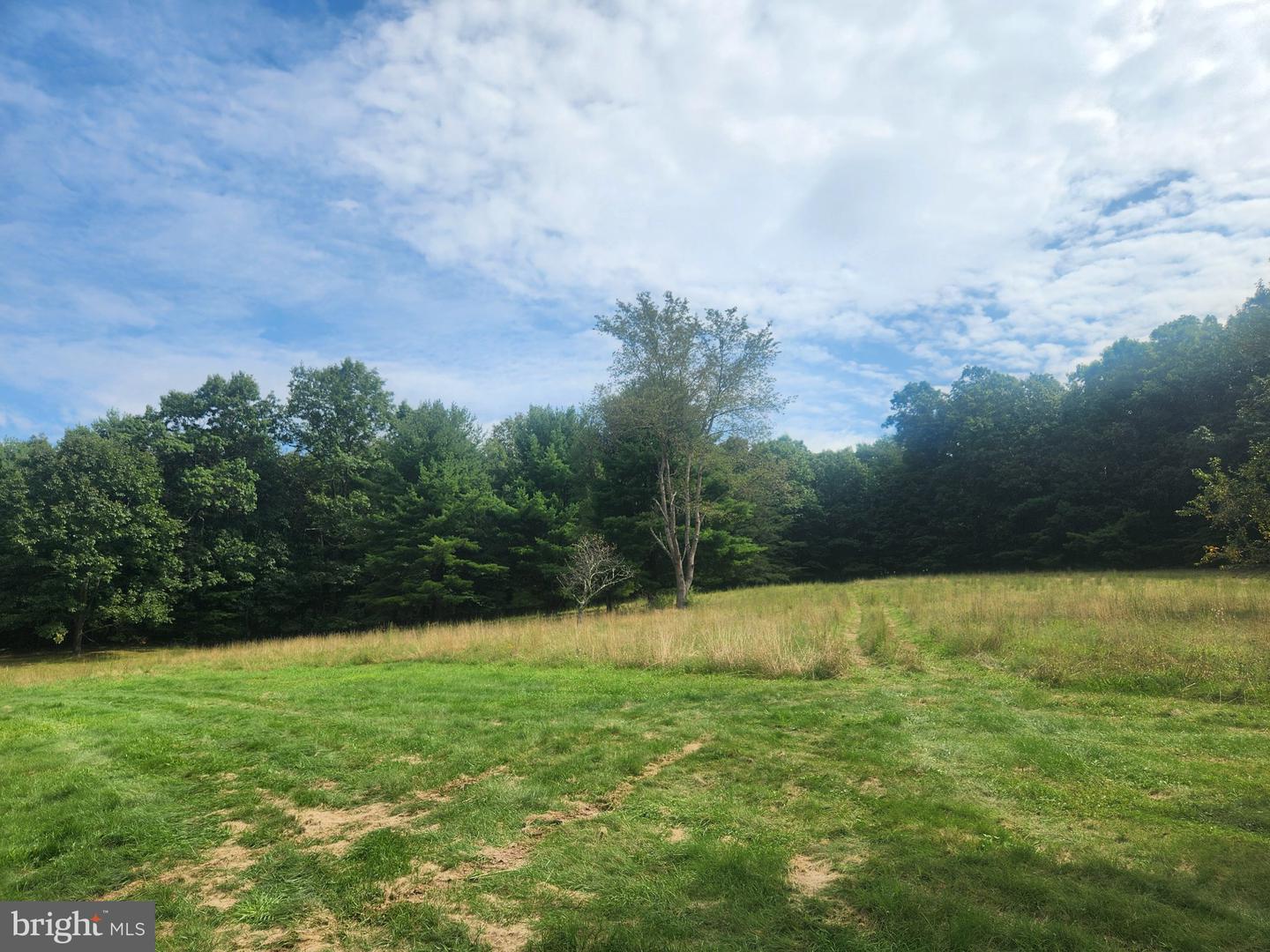 17059 Smith Valley Rd Property Photo 50