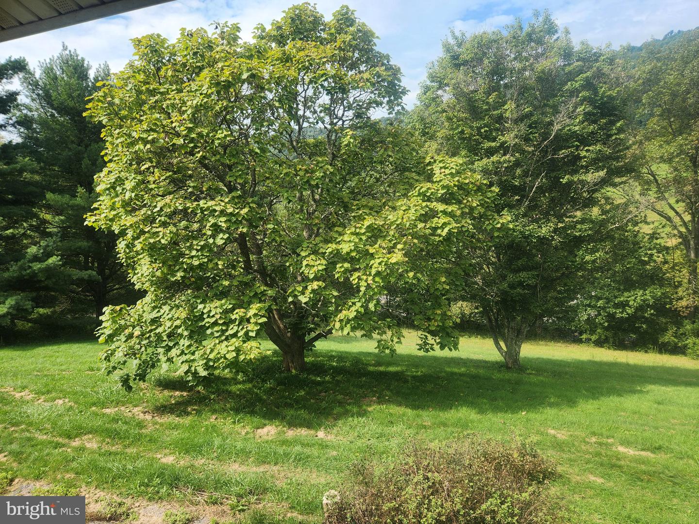 17059 Smith Valley Rd Property Photo 51