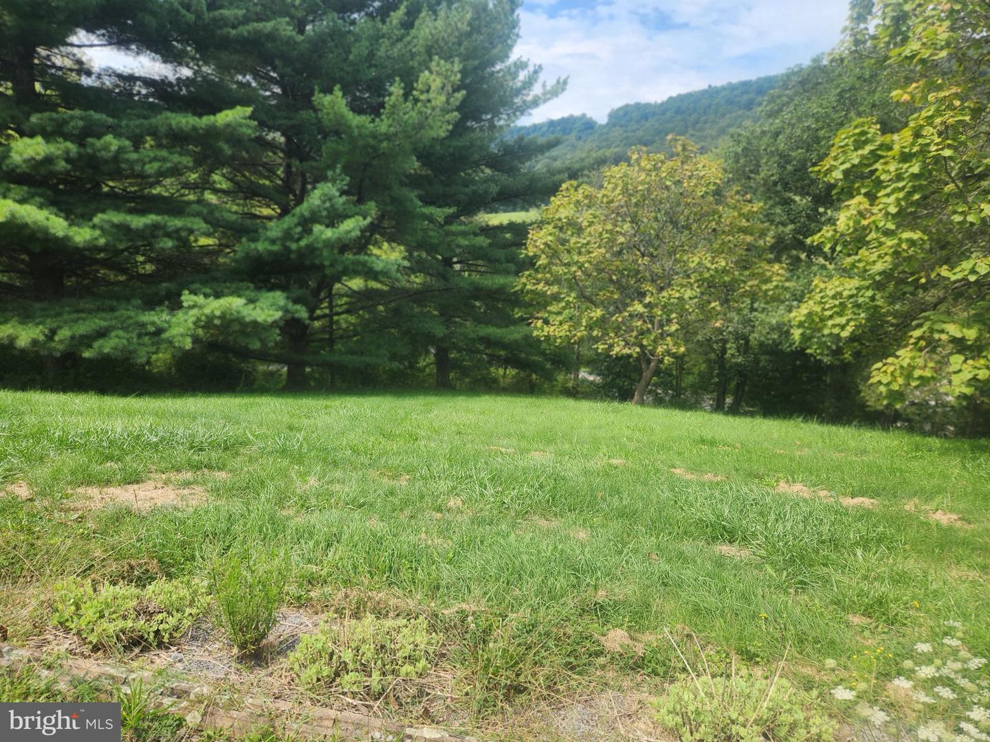 17059 Smith Valley Rd Property Photo 62