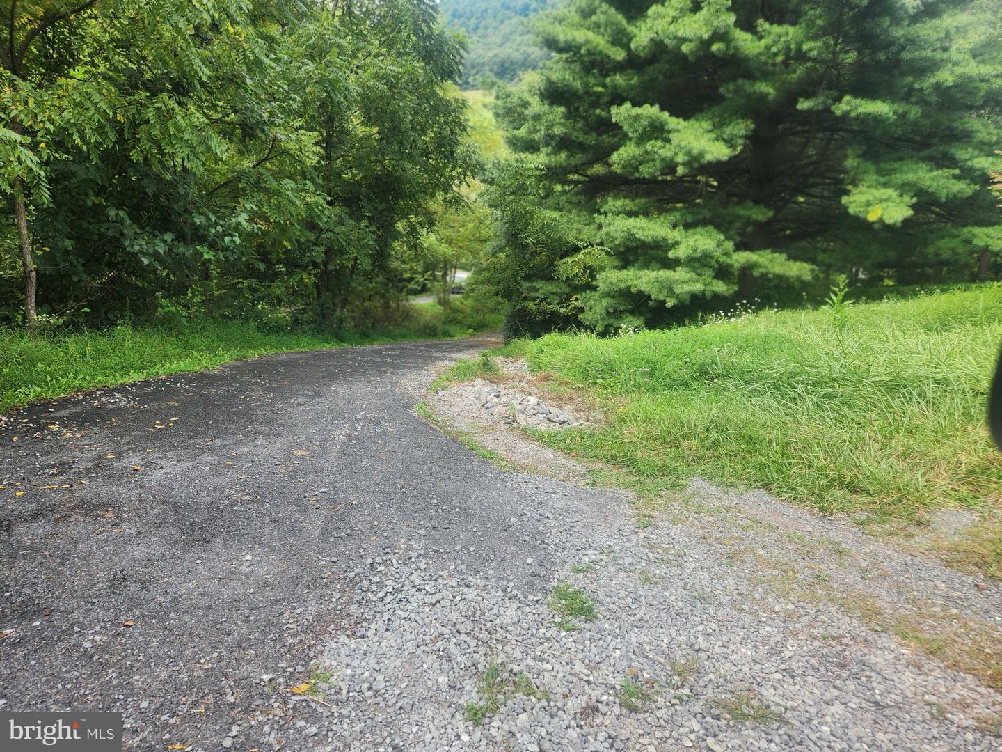 17059 Smith Valley Rd Property Photo 72