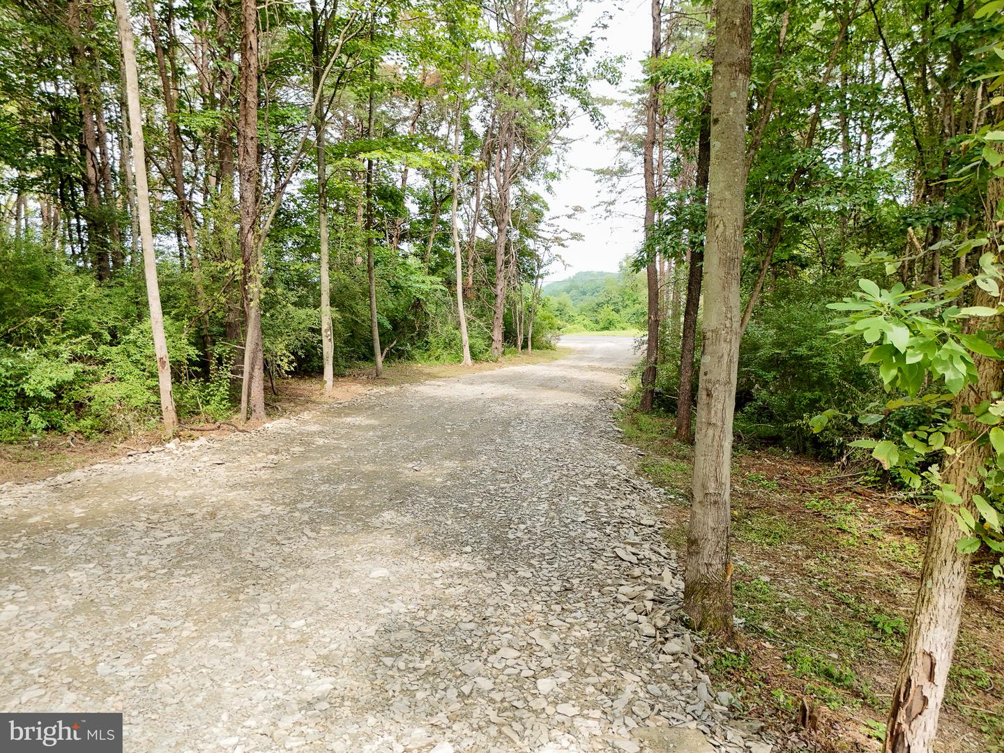 11265 Piney Ridge Rd Property Photo 2