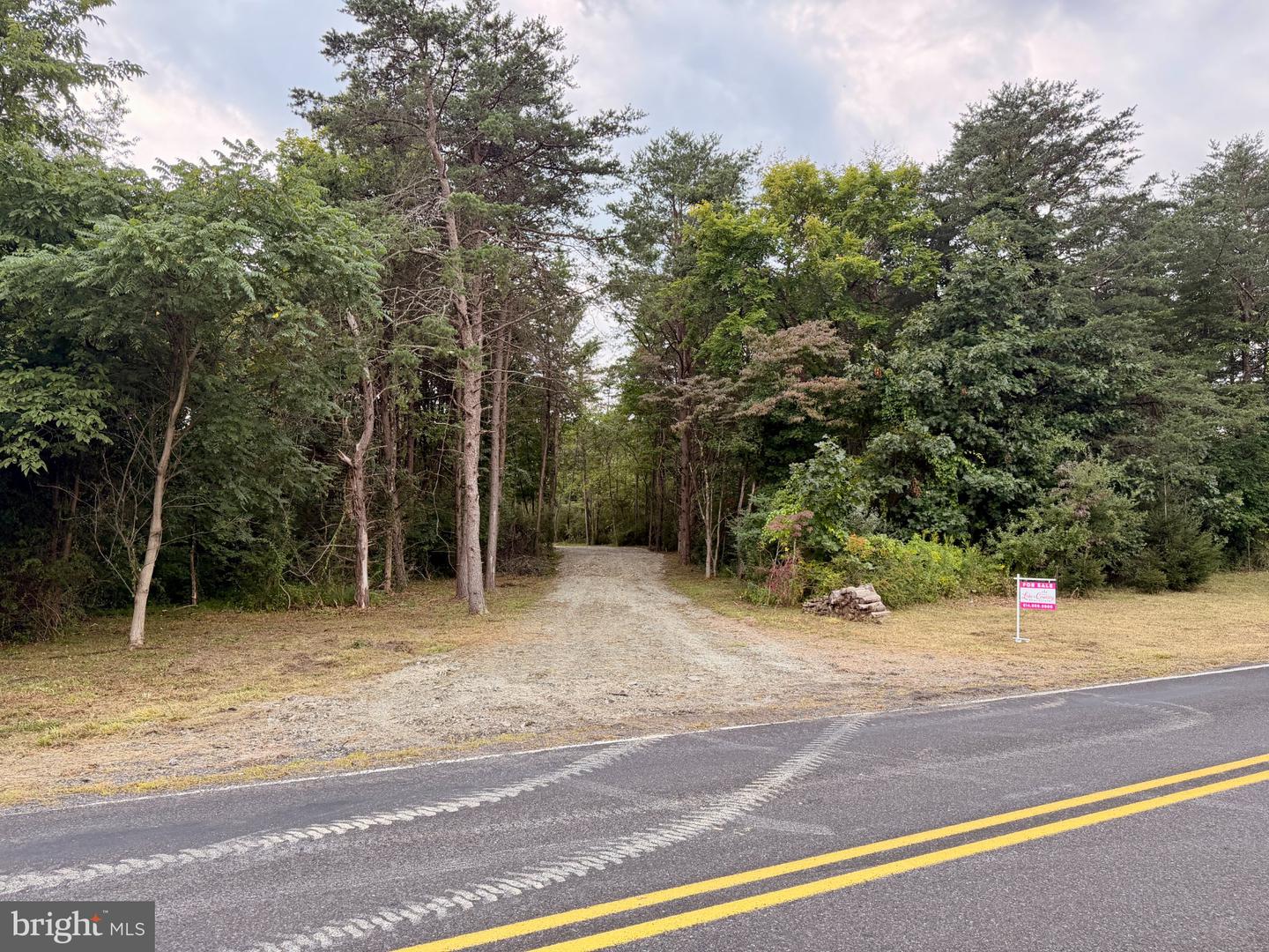 11265 Piney Ridge Rd Property Photo 5