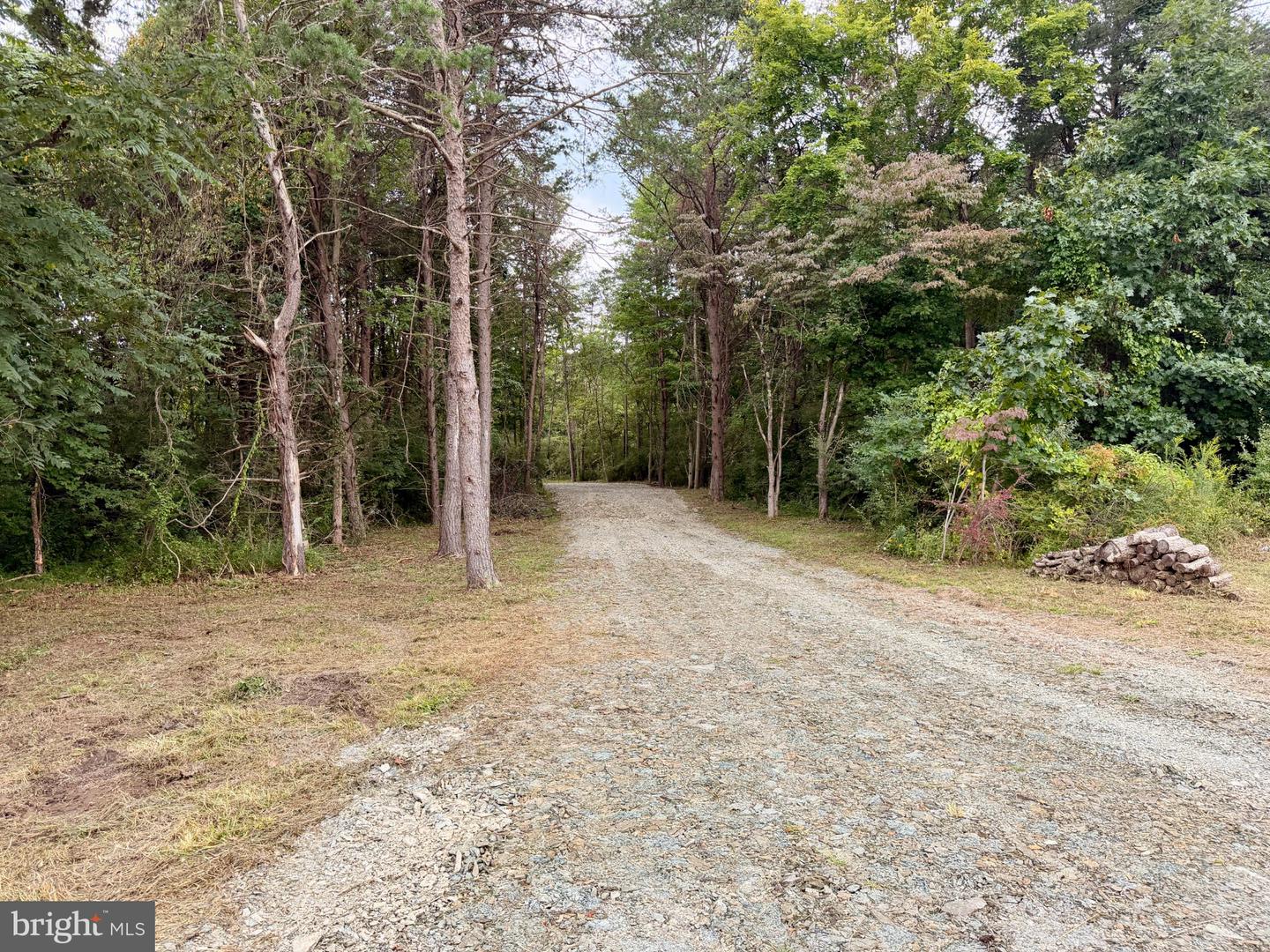 11265 Piney Ridge Rd Property Photo 6