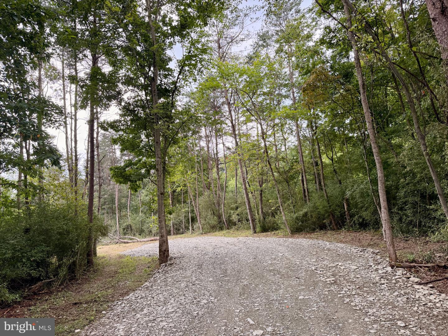 11265 Piney Ridge Rd Property Photo 7