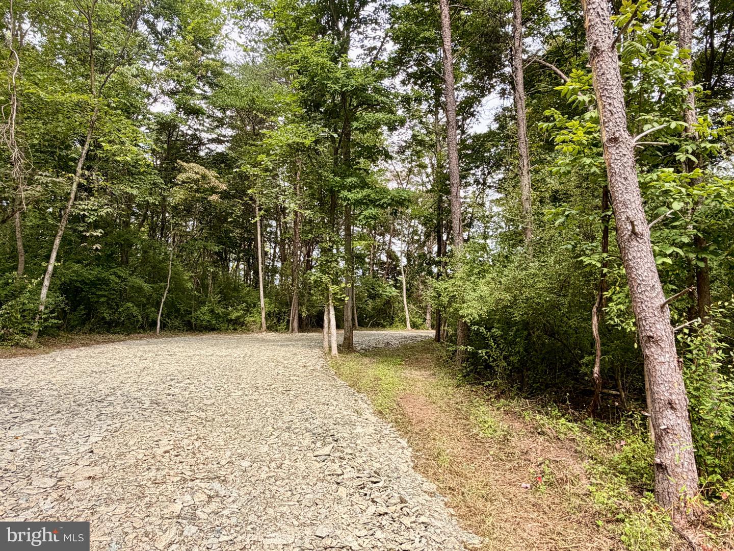 11265 Piney Ridge Rd Property Photo 8