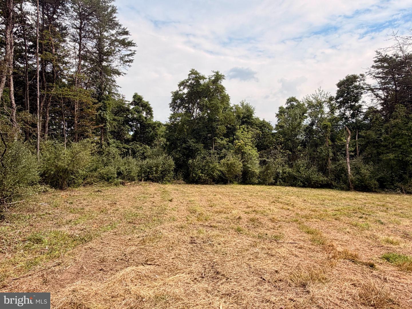 11265 Piney Ridge Rd Property Photo 9