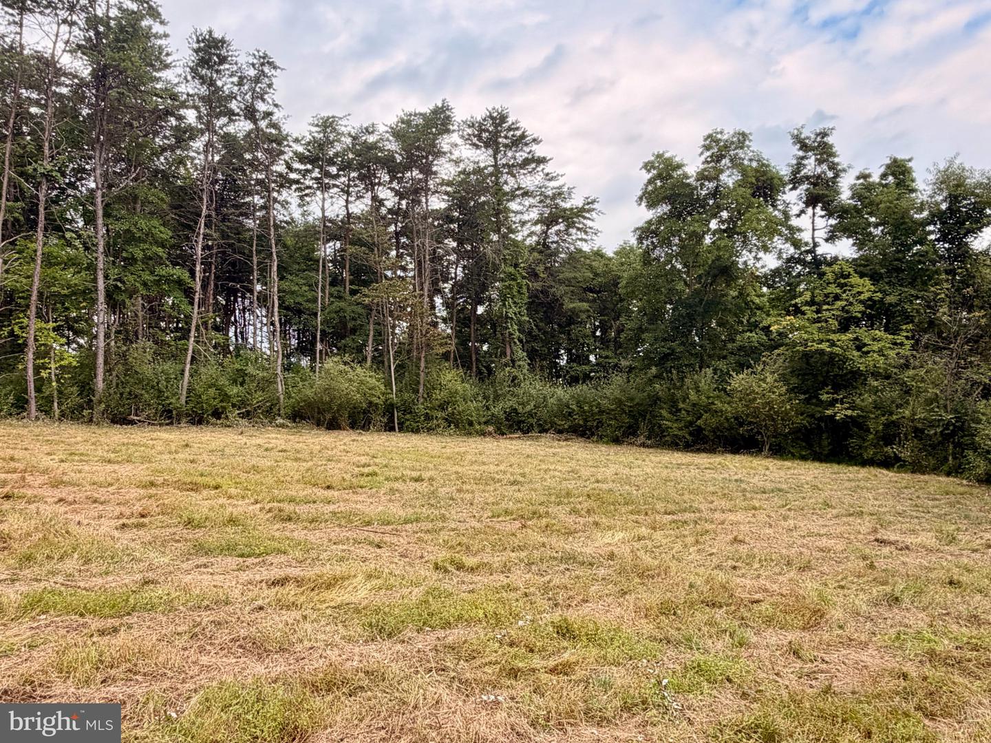 11265 Piney Ridge Rd Property Photo 10