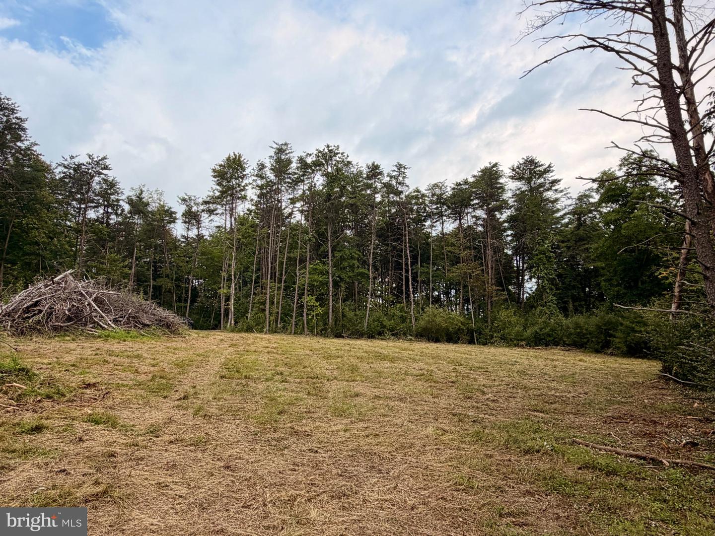 11265 Piney Ridge Rd Property Photo 11