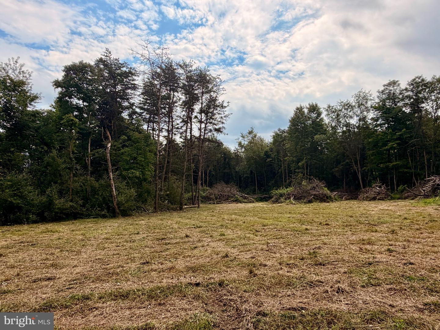 11265 Piney Ridge Rd Property Photo 12