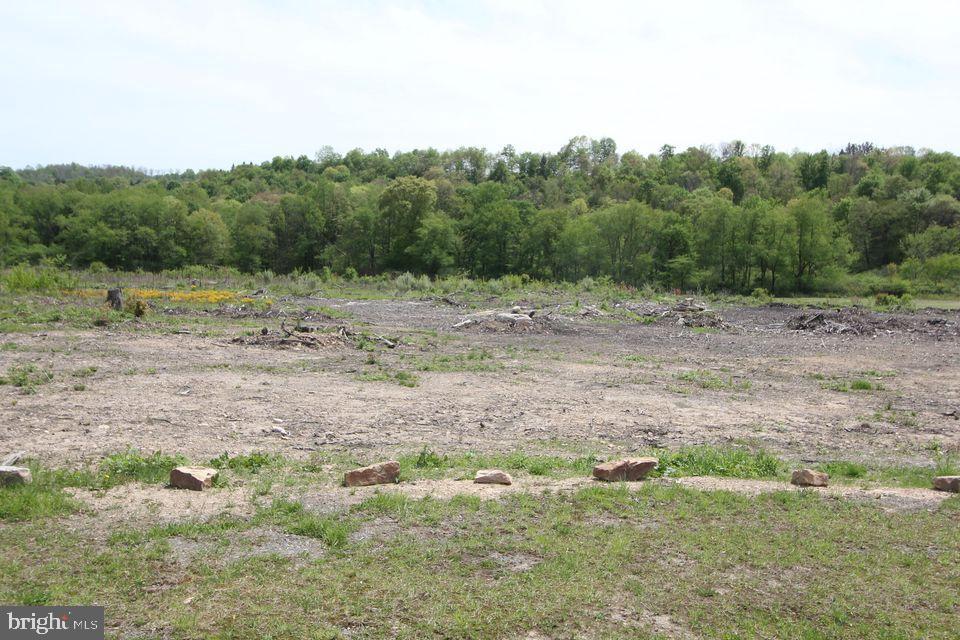 Myrtle St #lot 3 Property Photo 6