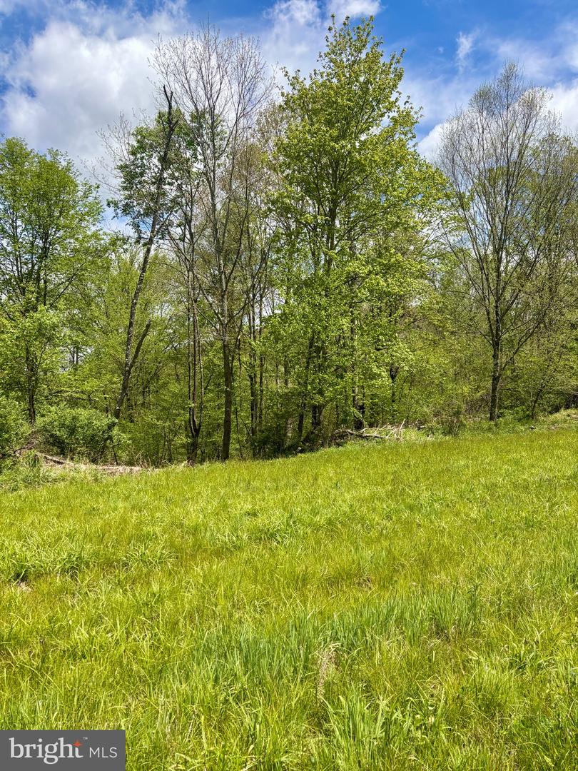 2800 Center Hill Rd Property Photo 9
