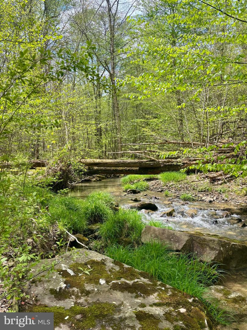 2800 Center Hill Rd Property Photo 14