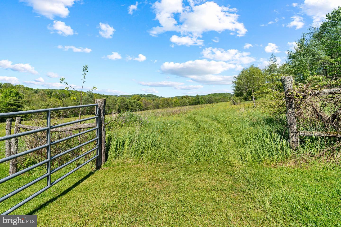 225 Honey Hollow Ranch Rd W Property Photo 10