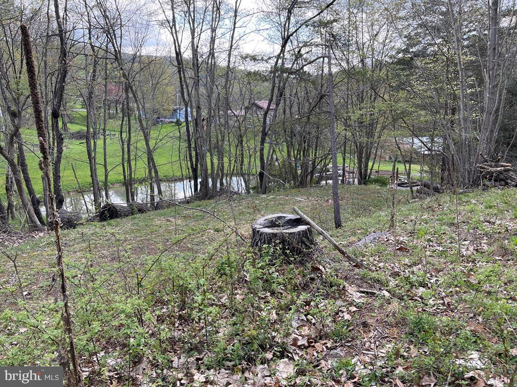 848 Bunker Hill Rd Property Photo 1