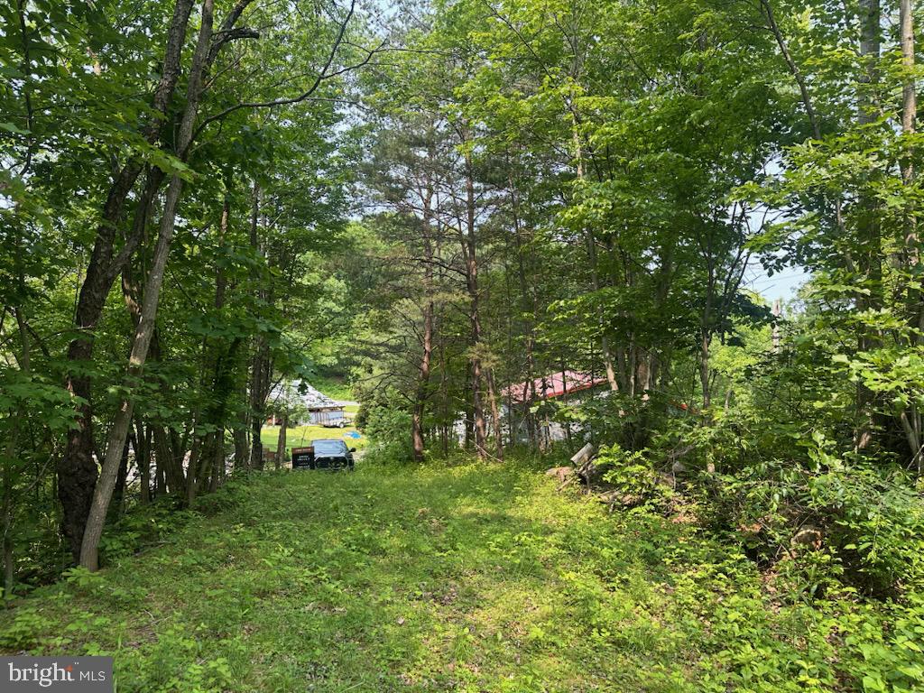 848 Bunker Hill Rd Property Photo 3