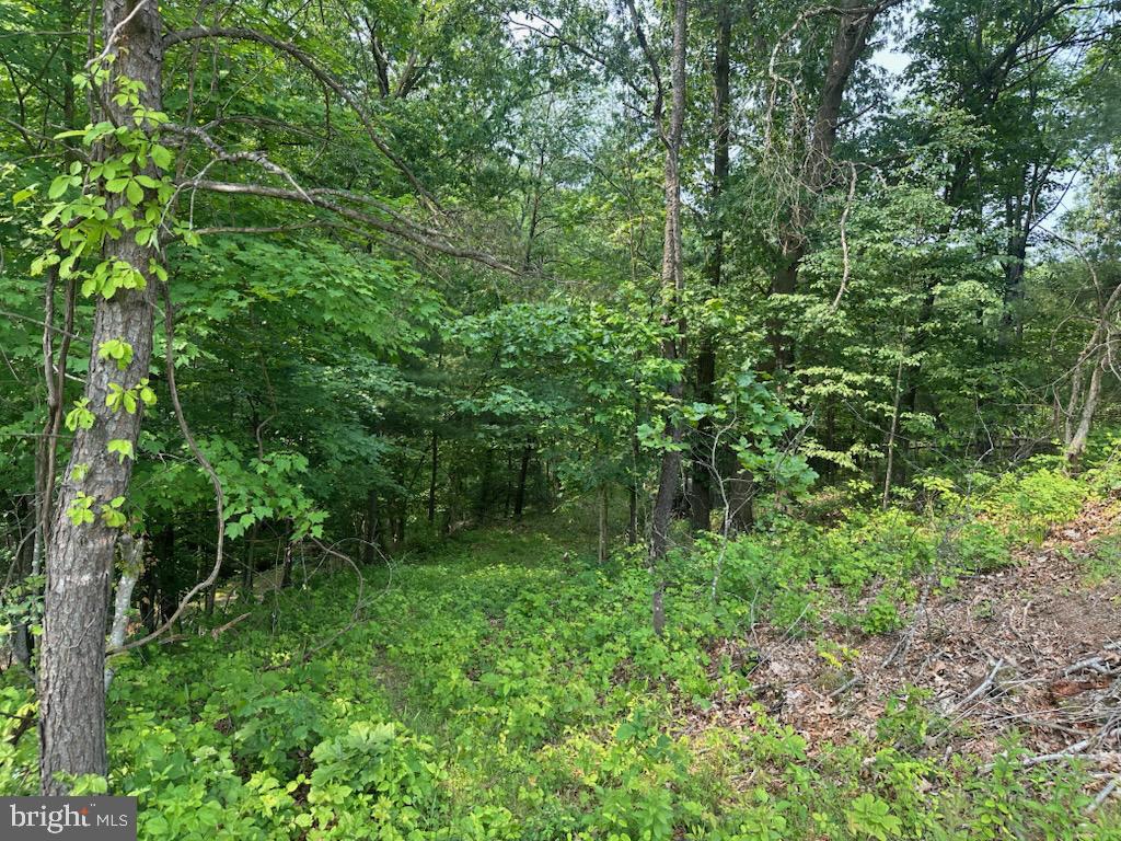 848 Bunker Hill Rd Property Photo 4
