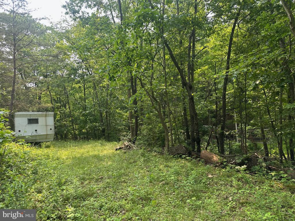848 Bunker Hill Rd Property Photo 6