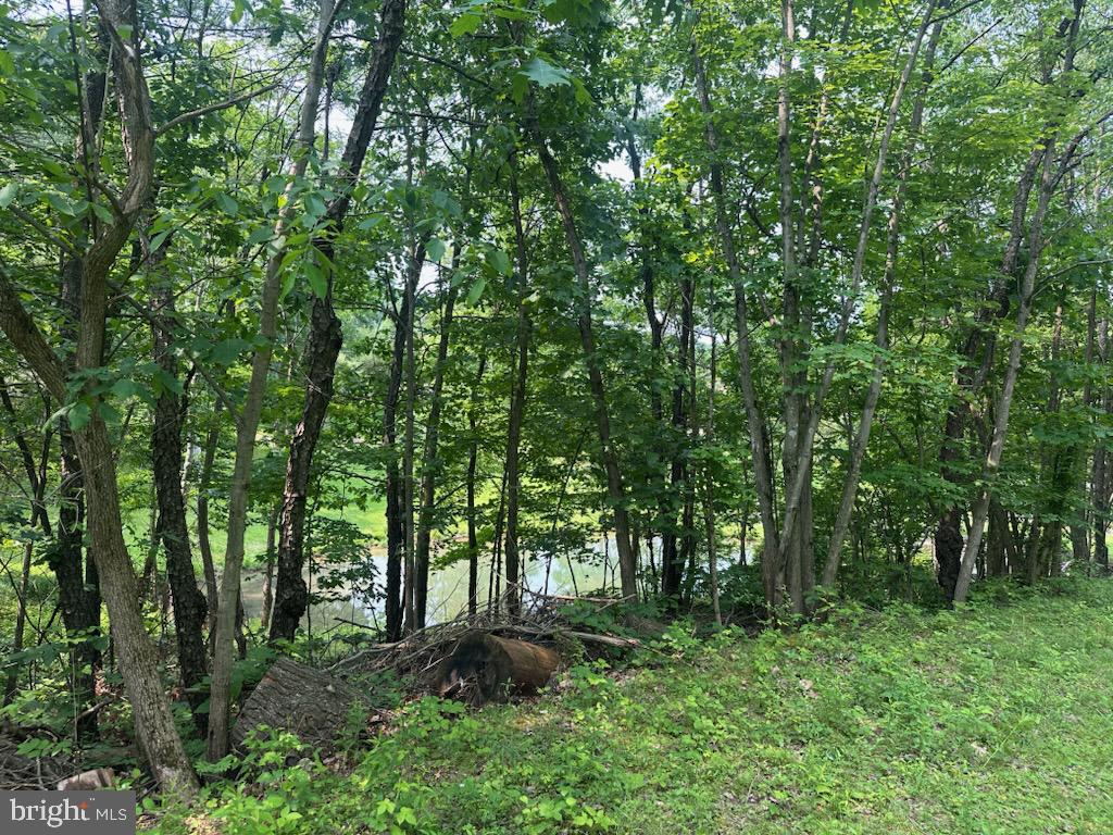 848 Bunker Hill Rd Property Photo 9