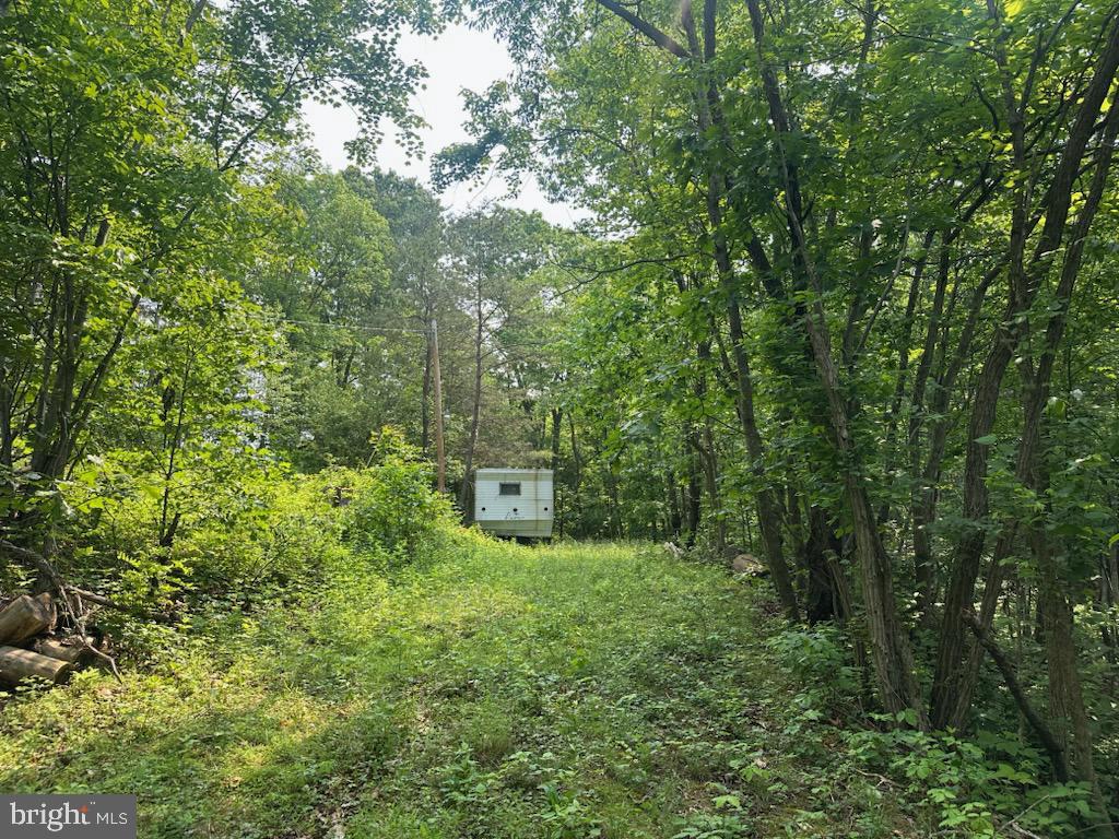 848 Bunker Hill Rd Property Photo 10