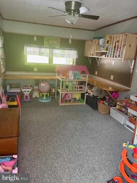 97 Dolan Heights Road Property Photo 20