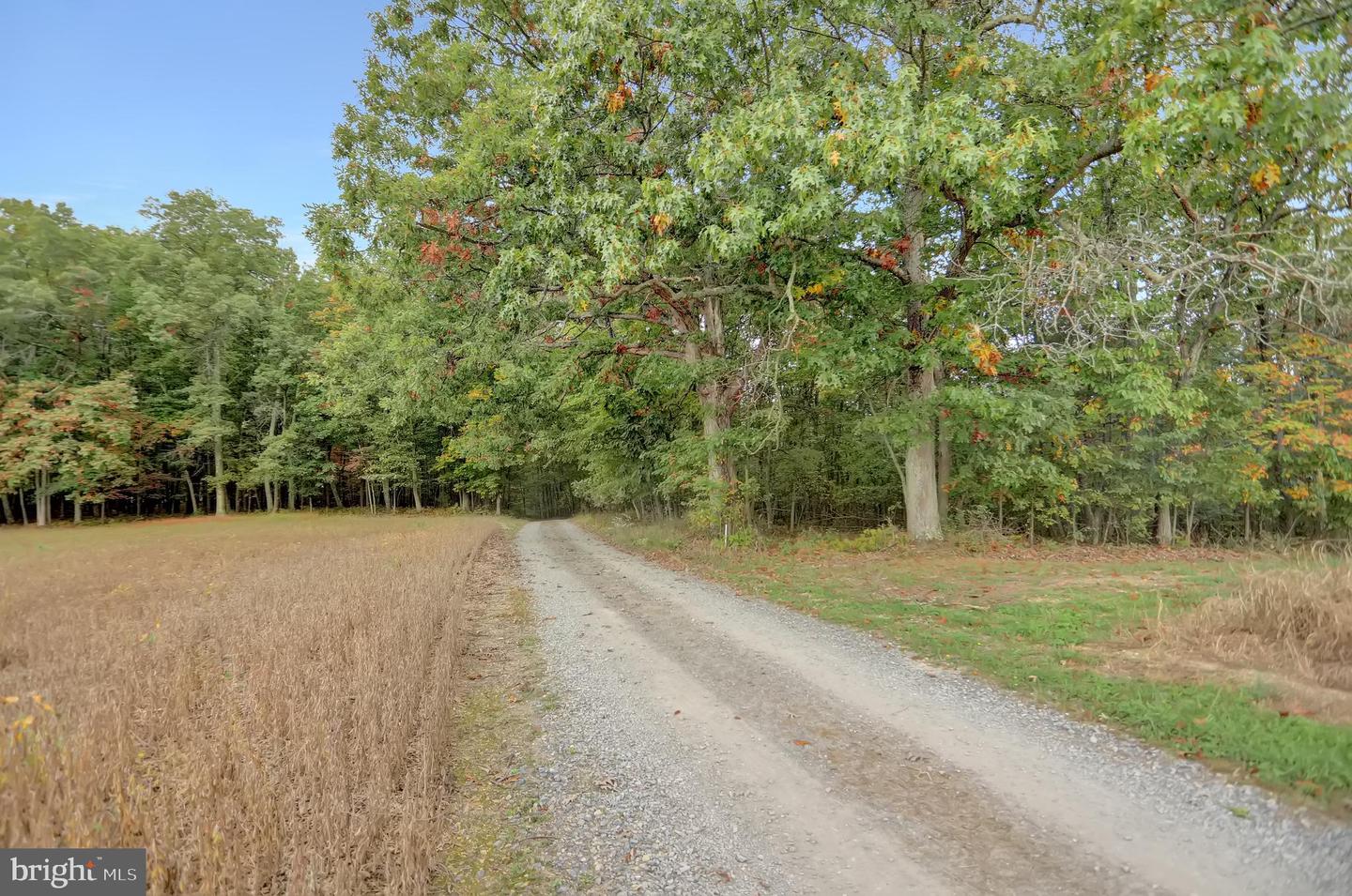 00 Seven Stars Rd Property Photo 1