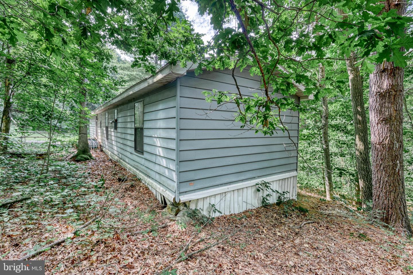 31 Neely Rd Property Photo 18