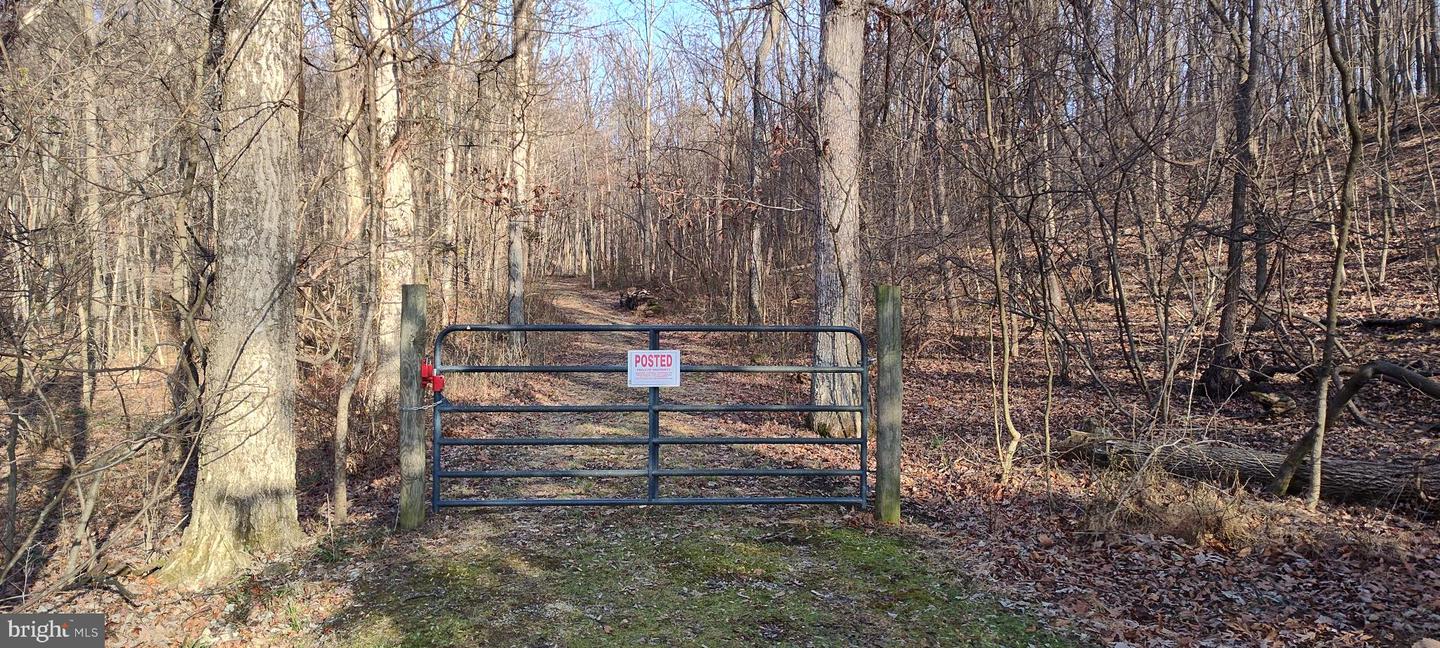 1339 Spruce Hill Rd Property Photo 66