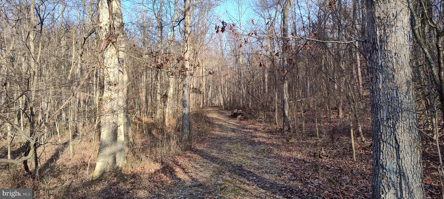 1339 Spruce Hill Rd Property Photo 67