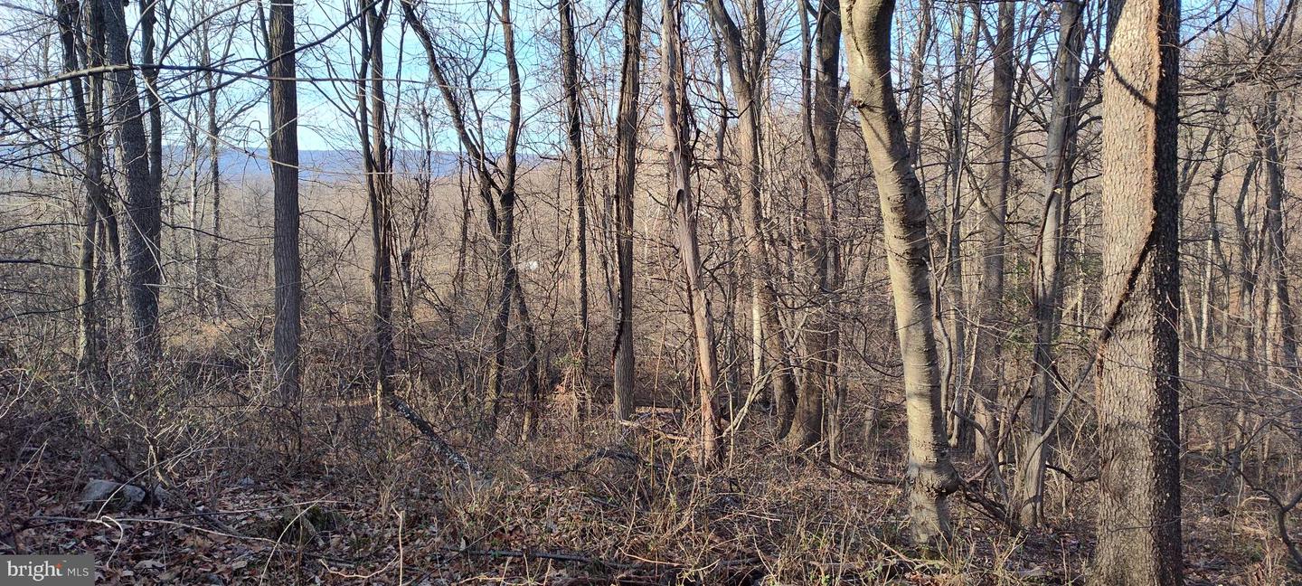 1339 Spruce Hill Rd Property Photo 70