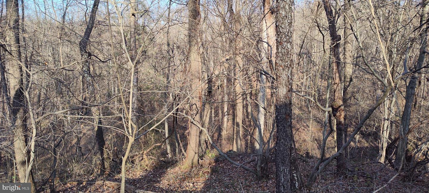 1339 Spruce Hill Rd Property Photo 71