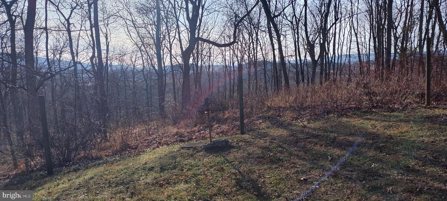 1339 Spruce Hill Rd Property Photo 72