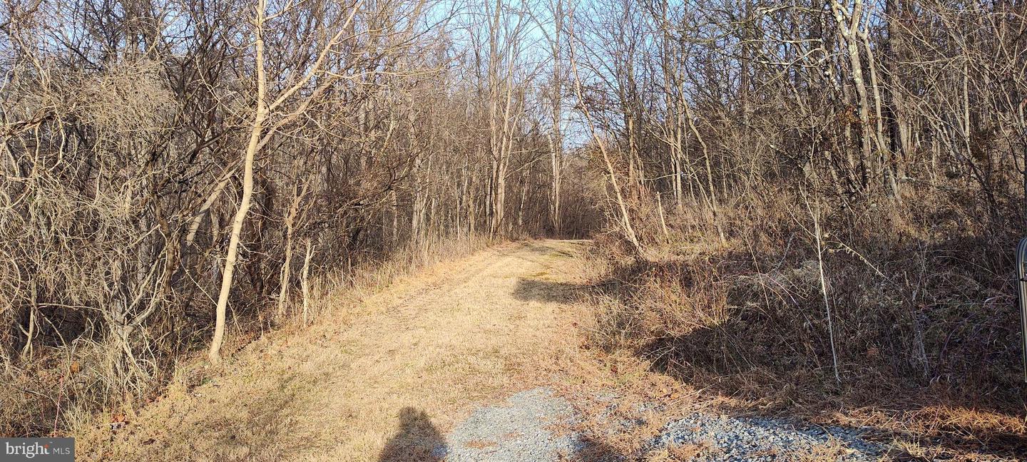 1339 Spruce Hill Rd Property Photo 107