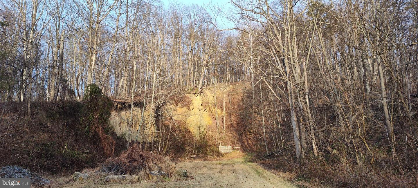 1339 Spruce Hill Rd Property Photo 109