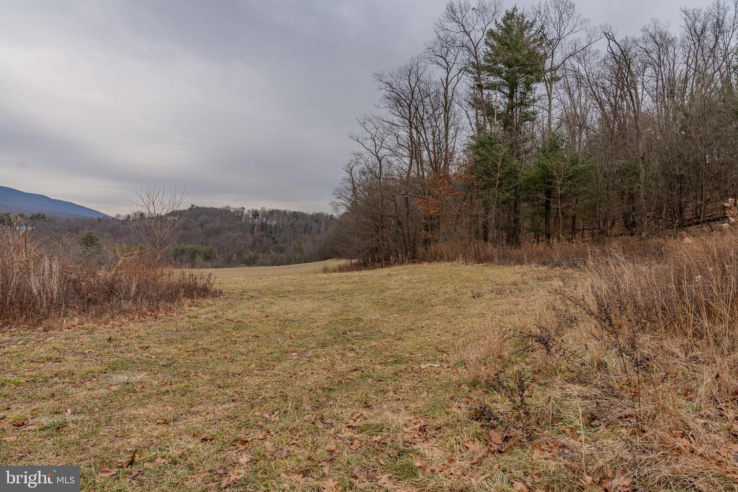 0 Vanormer #2 Parcel Property Photo 3
