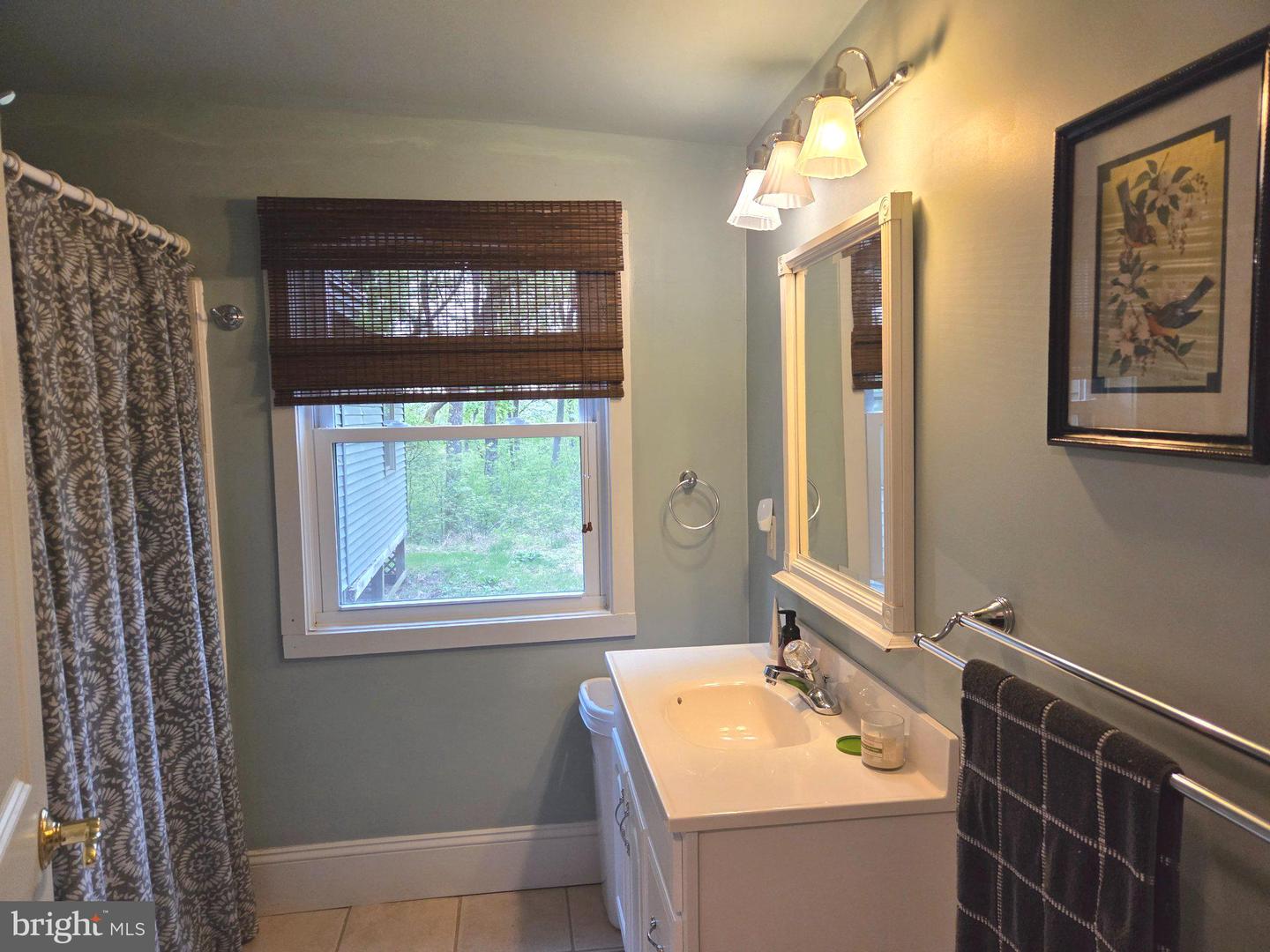 491 Wild Area Ln Property Photo 10