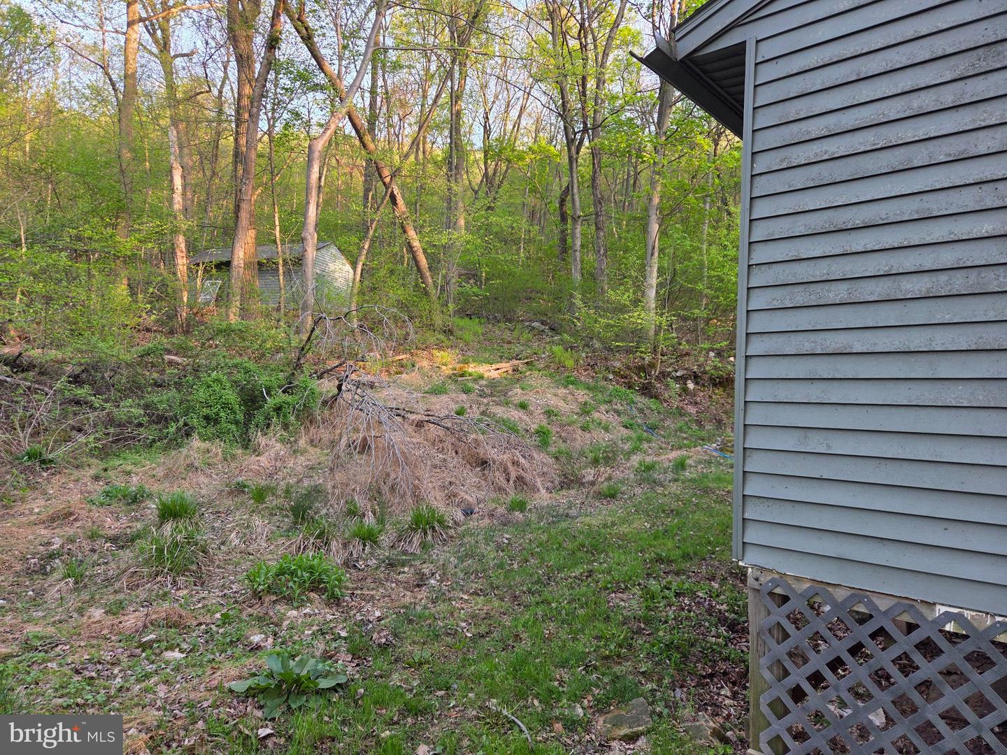 491 Wild Area Ln Property Photo 31