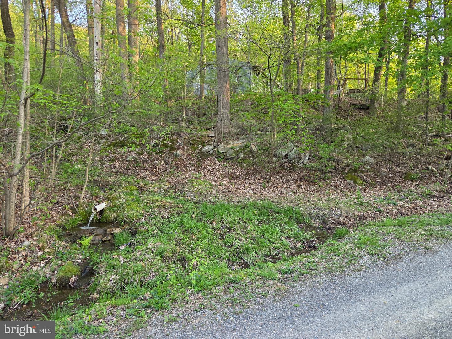 491 Wild Area Ln Property Photo 37