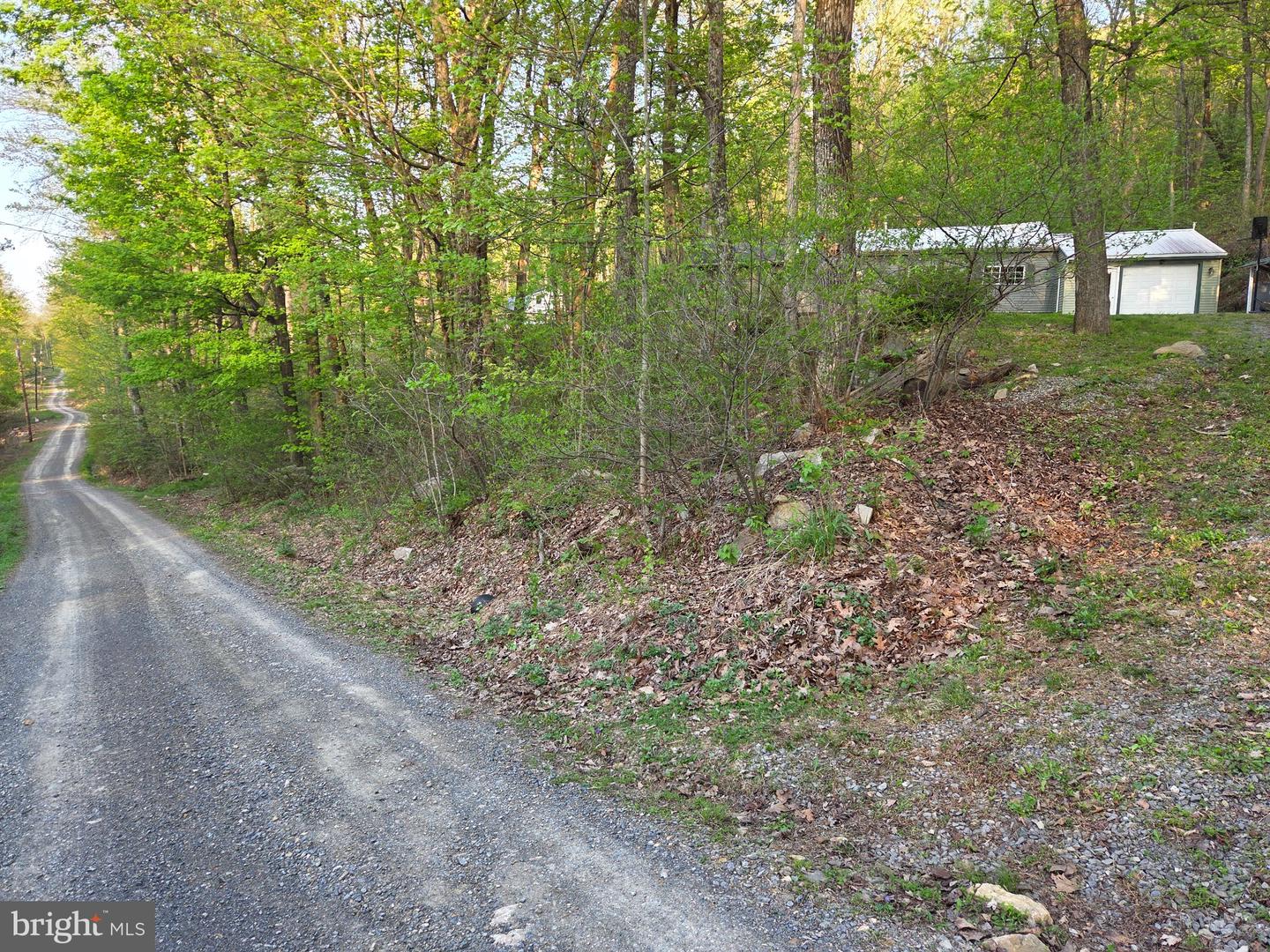 491 Wild Area Ln Property Photo 38