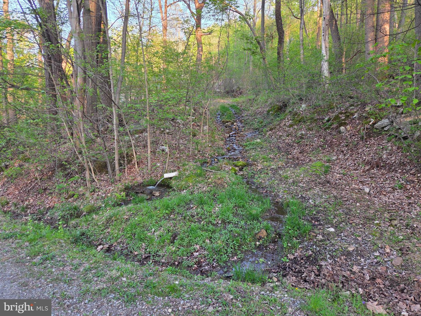 491 Wild Area Ln Property Photo 39