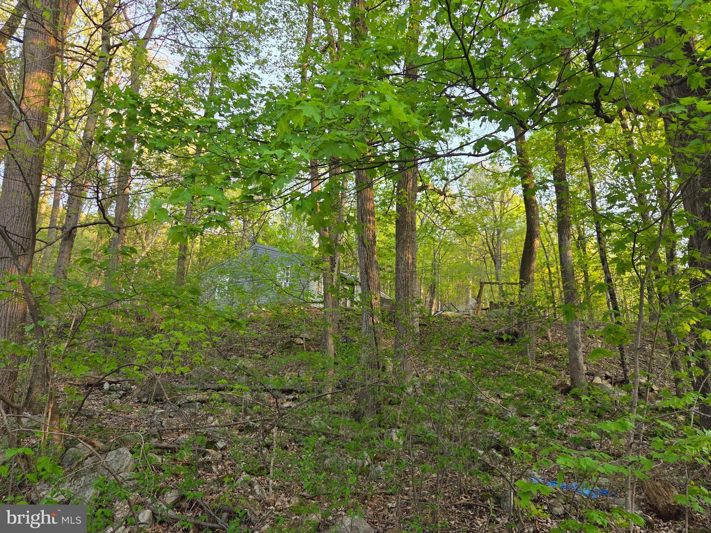 491 Wild Area Ln Property Photo 40