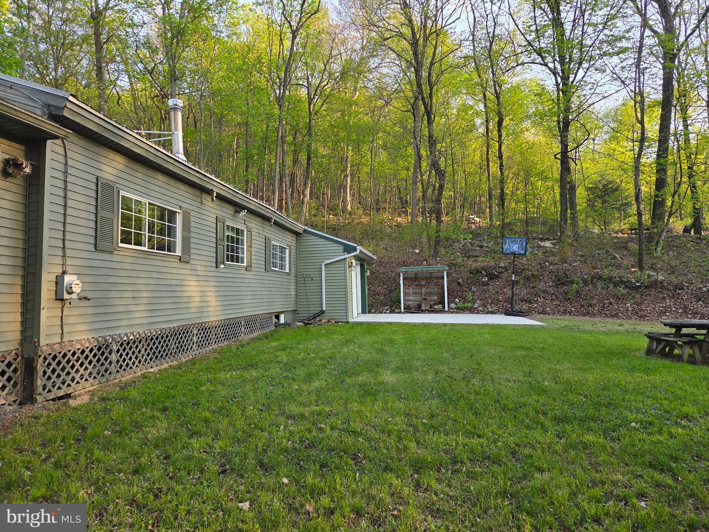 491 Wild Area Ln Property Photo 49