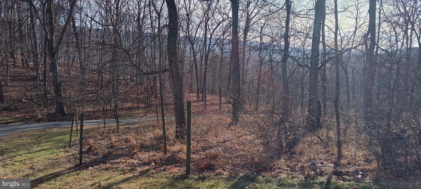 1339 Spruce Hill Rd Property Photo 65